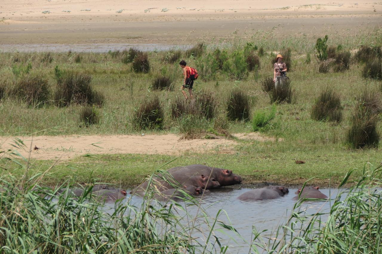 Lodge Afrique Saint Lucia Estuary Dış mekan fotoğraf