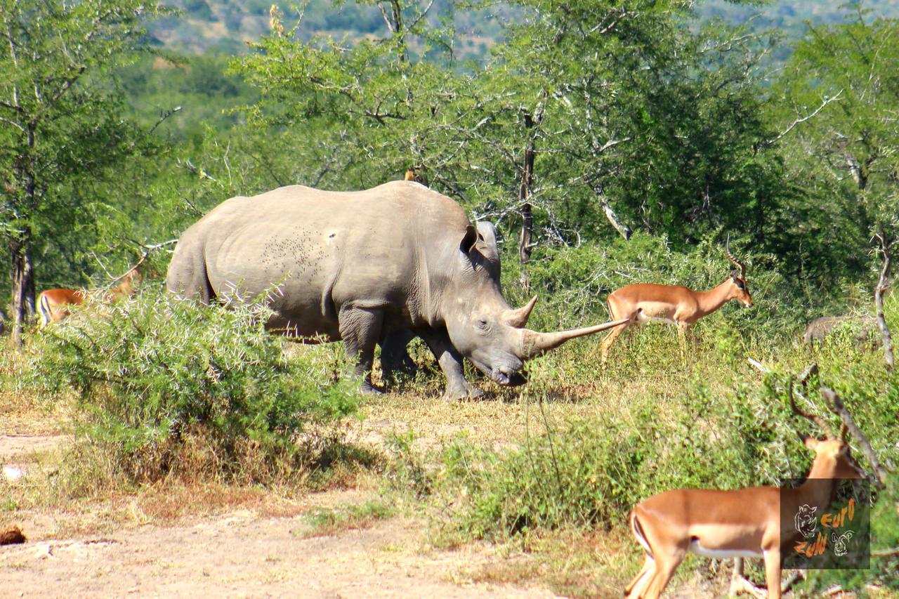 Lodge Afrique Saint Lucia Estuary Dış mekan fotoğraf