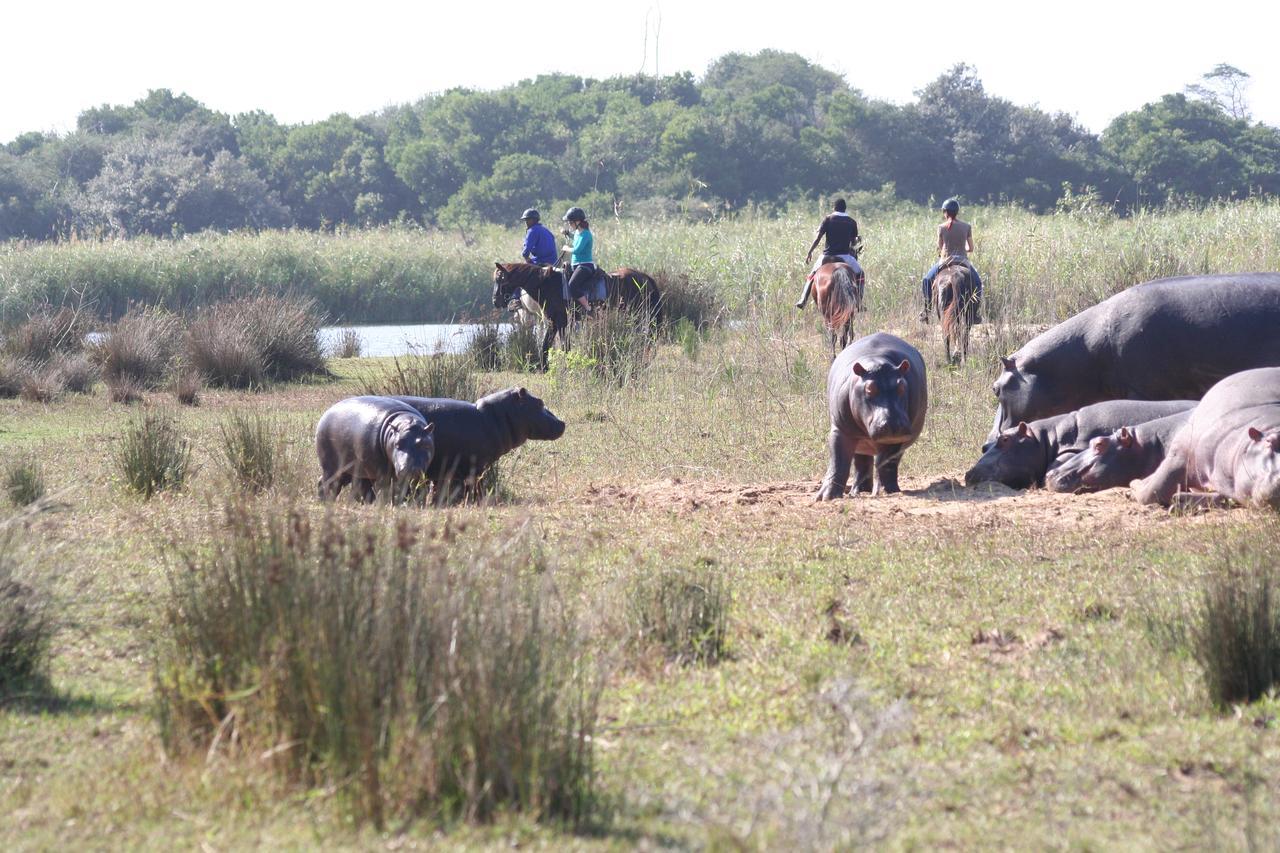 Lodge Afrique Saint Lucia Estuary Dış mekan fotoğraf