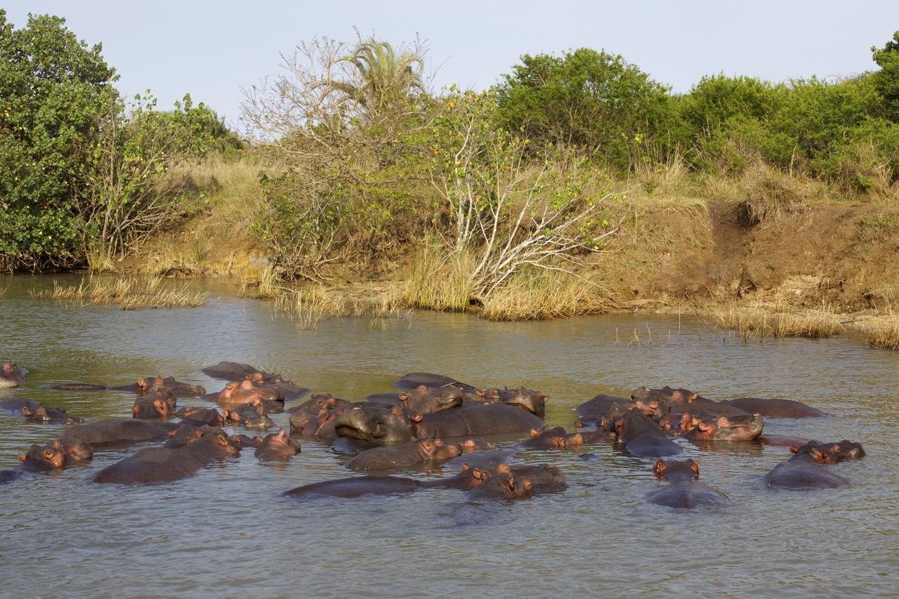 Lodge Afrique Saint Lucia Estuary Dış mekan fotoğraf