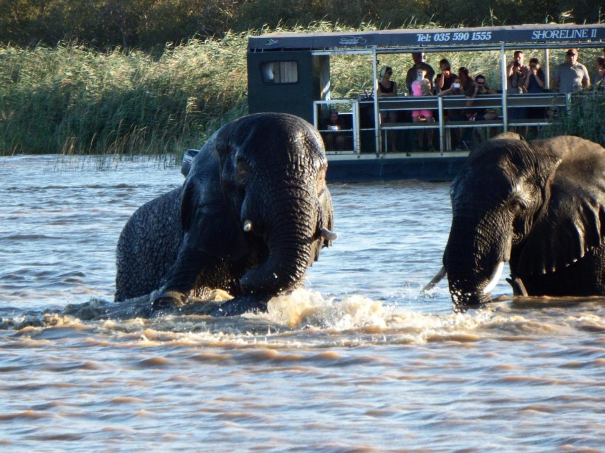 Lodge Afrique Saint Lucia Estuary Dış mekan fotoğraf